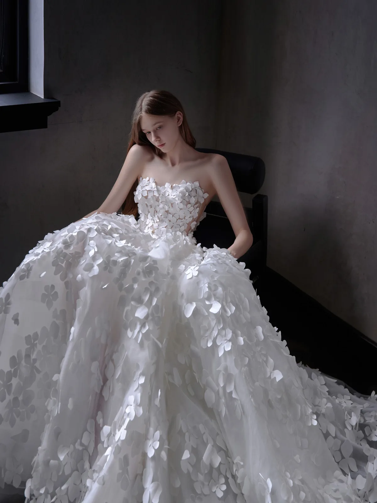 2026 Preview Collection